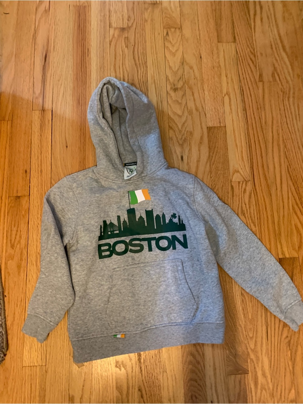 Boston Irish flag hoodie